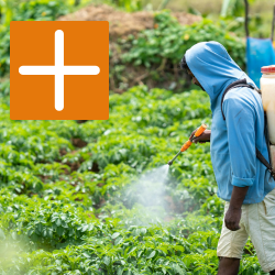 SmartNest Compatibility